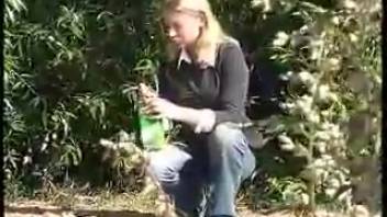 Babe chugs beer, puffs on a smoke, and swallows piss